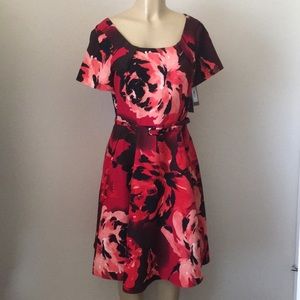 Cap Sleeve Belted Dress (Eva Mendes)